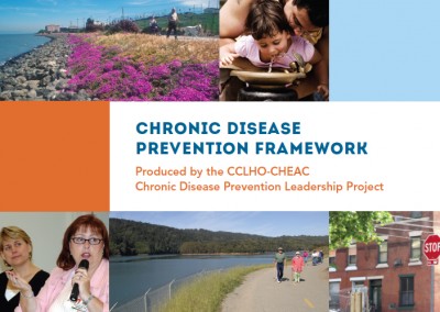 Chronic Disease Prevention Framework