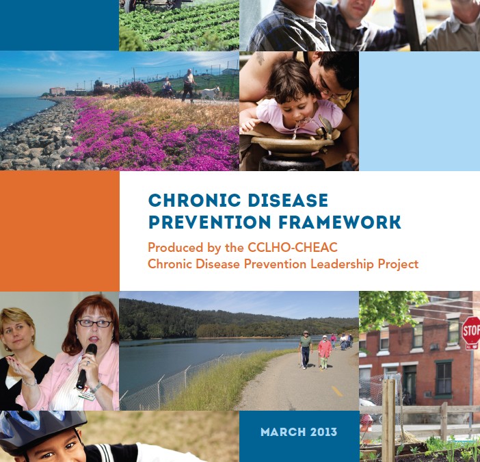 Chronic Disease Prevention Framework